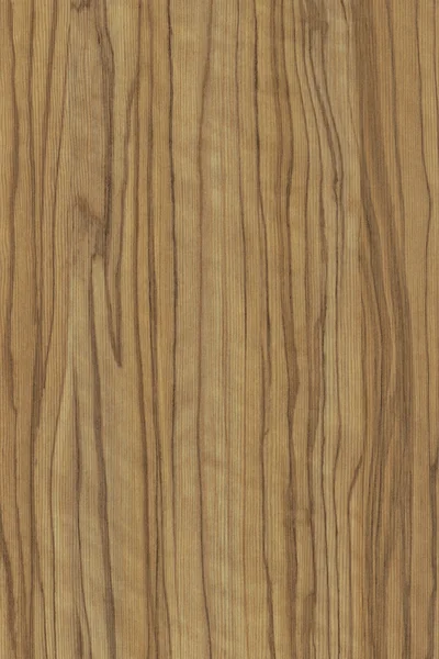 Деревянная текстура оливы — стоковое фото