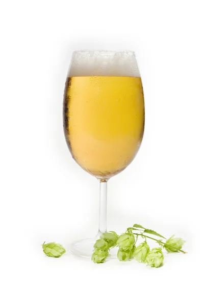 Ramoscello di luppolo sul bicchiere con birra — Foto Stock