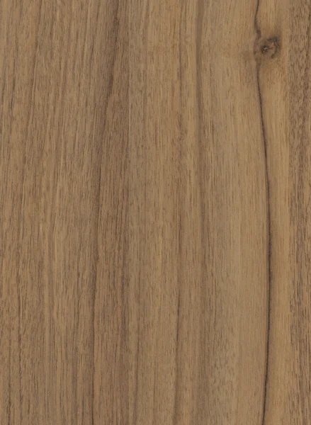 Textura de madeira de lyon de noz Fotografia De Stock