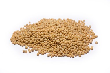 Mustard seeds in a serie of global spice clipart