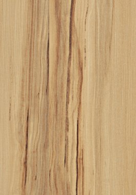 Wood texture Laminat clipart