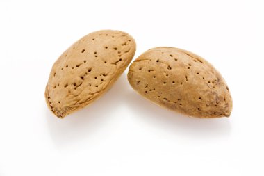 Almonds clipart