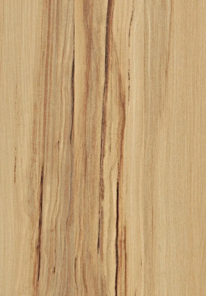 木材纹理雷明特 — 图库照片