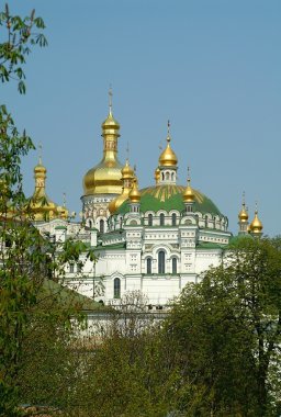 Golden domes. clipart