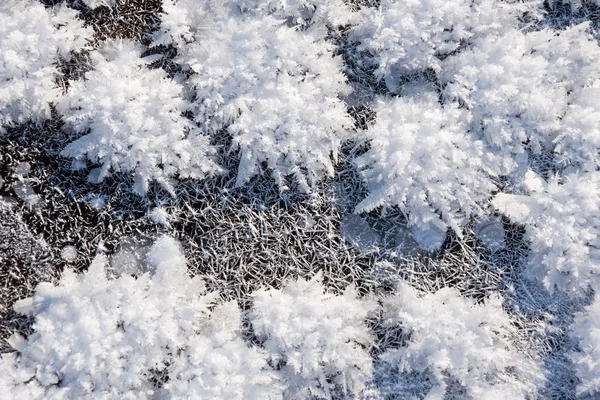 霜の背景 — ストック写真