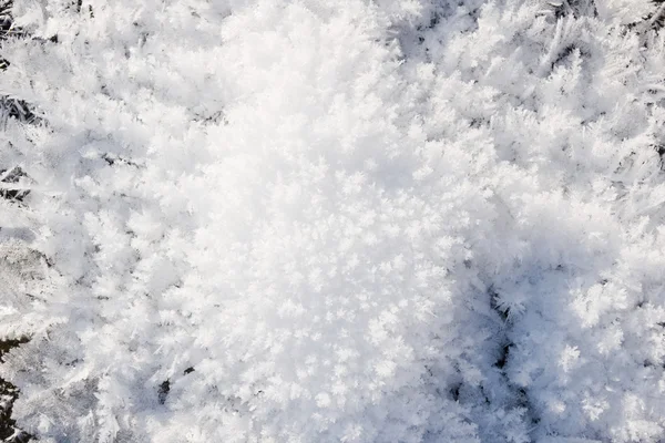 霜背景 — 图库照片