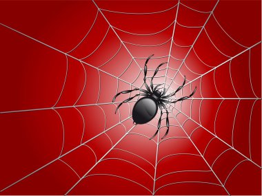 Spider on wed clipart