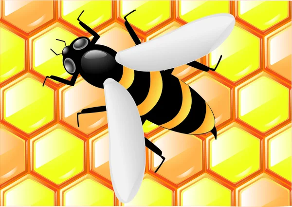 Bee op honingraten — Stockvector