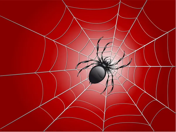Spider on wed — Stock Vector