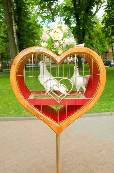 Güvercinlerin kalp — Stok fotoğraf
