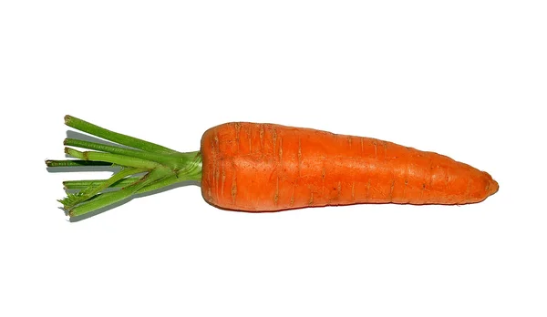 Морква — стокове фото