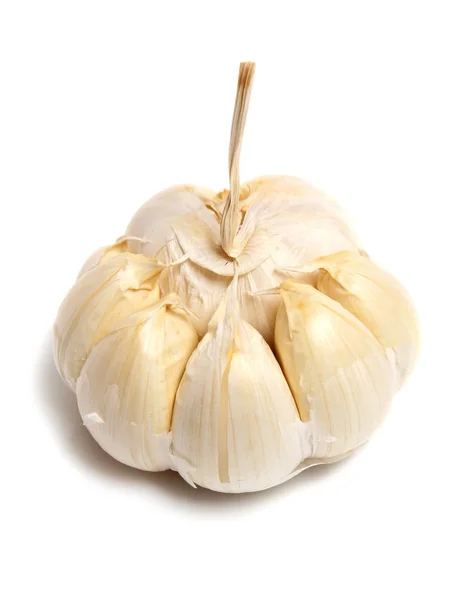 하얀 배경의 마늘 — 스톡 사진
