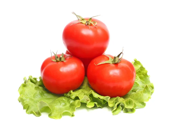 Red tomatoes and green lettuce — Stock Photo, Image