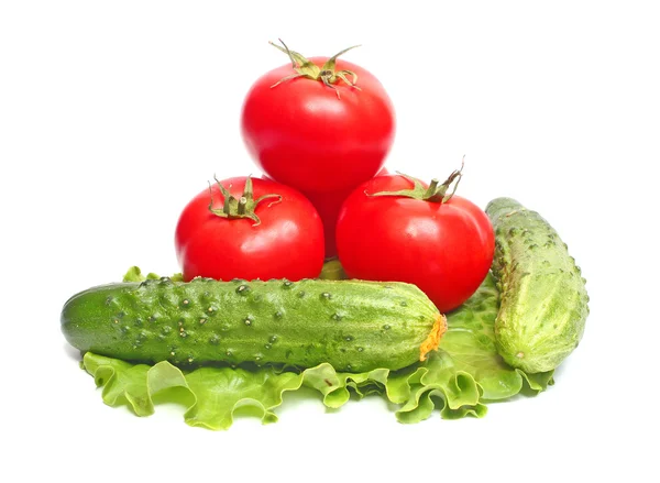 Tomaten und Gurken auf Salat — Stockfoto