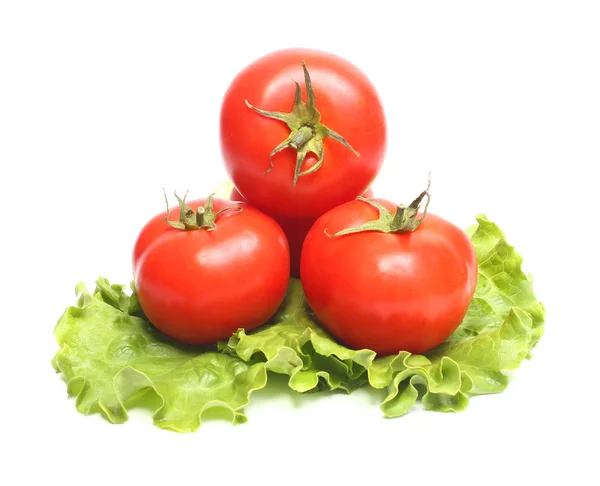 Red tomatoes and green lettuce — Stock Photo, Image