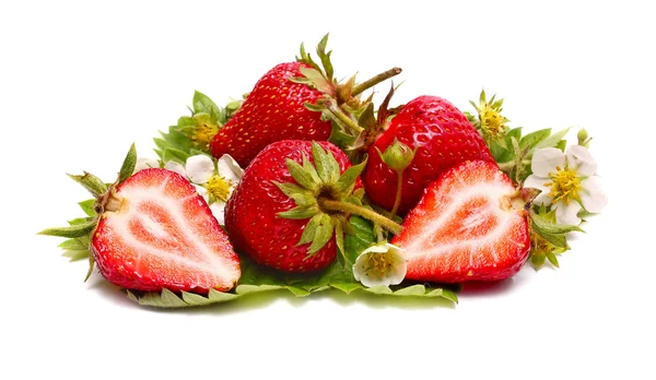 Strawberry skiva och blossom — Stockfoto