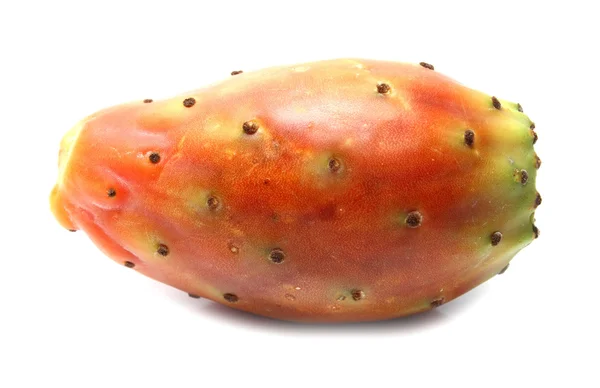 Frukt av kaktus — Stockfoto