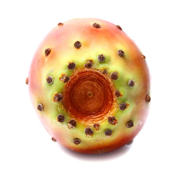 仙人掌的果实 — 图库照片