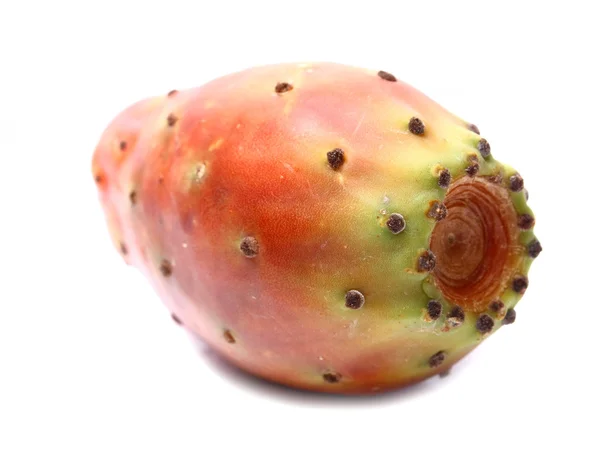 Vrucht van cactus — Stockfoto
