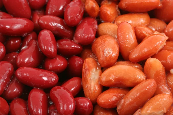 Dark and light kidney beans — Stock Photo, Image