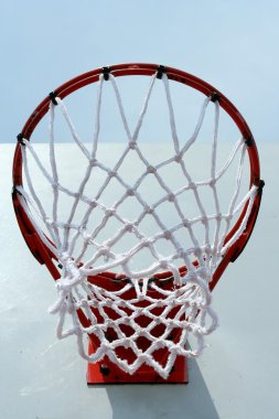 Basketbol potası