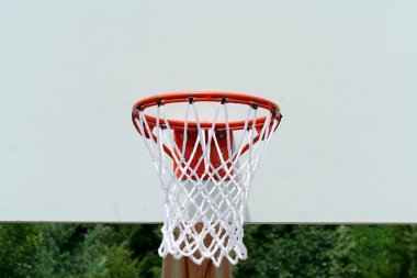 Basketbol potası