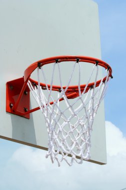 Basketbol potası