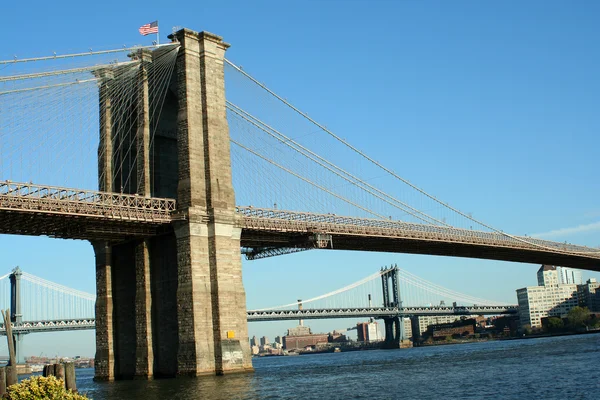 stock image Brooklyn Bridge