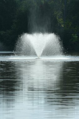 A water fountain in a pond