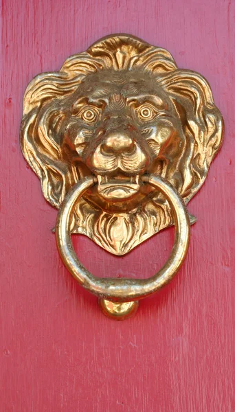 真鍮のライオン — ストック写真
