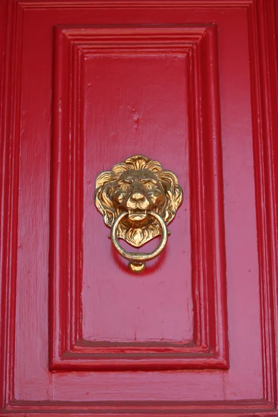 Aslan kapısı tokmağı — Stok fotoğraf