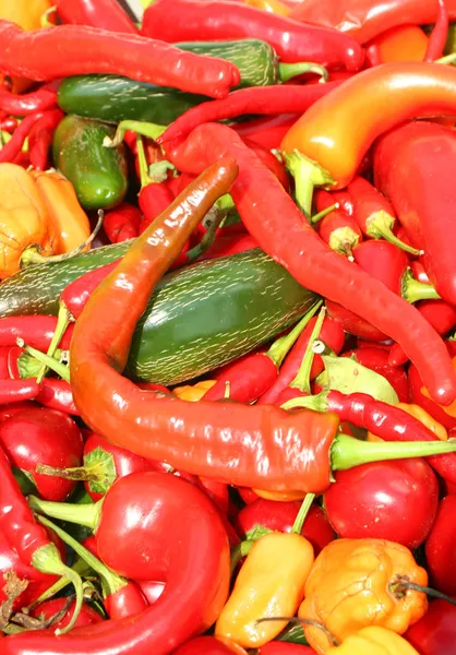 Bunch of hot chili cpeppers background — Stock Photo, Image