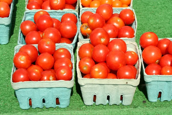 Wiśniowe pomidory w kosze zielony — Zdjęcie stockowe