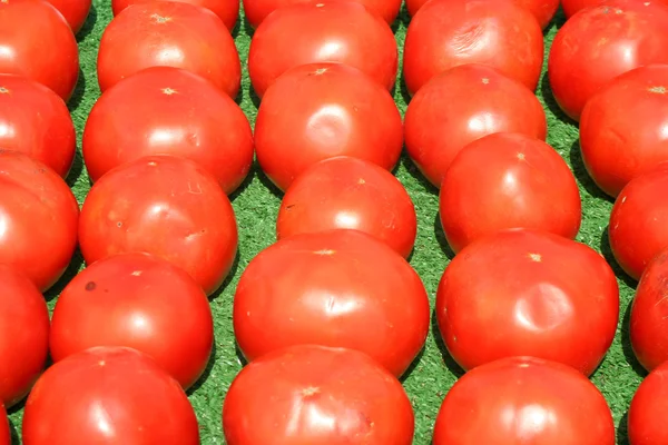 Tomatoes lined up for sale — Stock Photo, Image