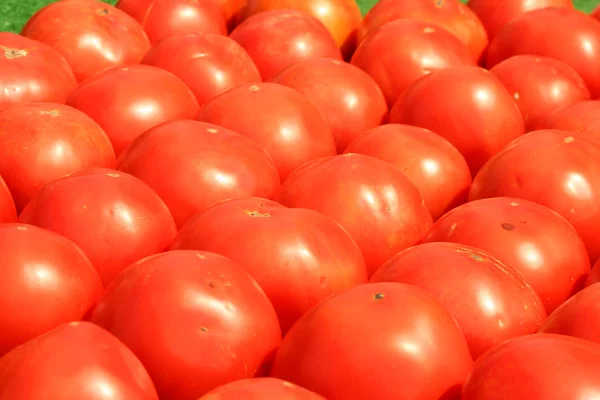 Pomodori in vendita — Foto Stock