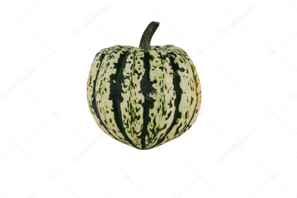 Isolated carnival squash on white