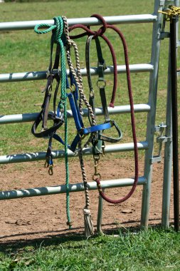 Horse bidels and ropes on a fence