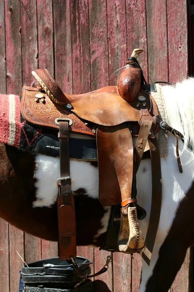Cavalo selado perto de um celeiro — Fotografia de Stock