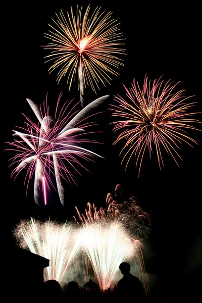 Fireworks with silhouette in foreground — Stock Photo, Image
