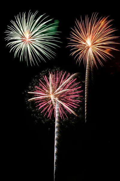 Colorful fireworks against a black sky — Stock Photo, Image