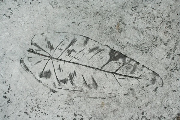 Impressão de folha em uma calçada de cimento — Fotografia de Stock