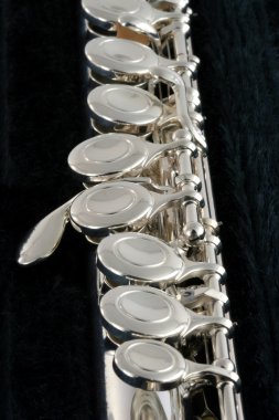 Vertical view of a flute clipart