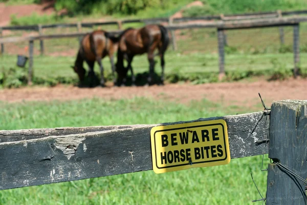 Cuidado con las mordeduras de caballo signo — Foto de Stock