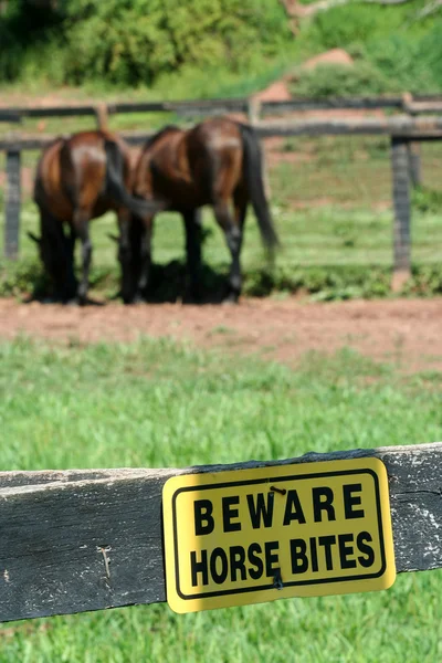 Beware horse bites sign — Stock Photo, Image