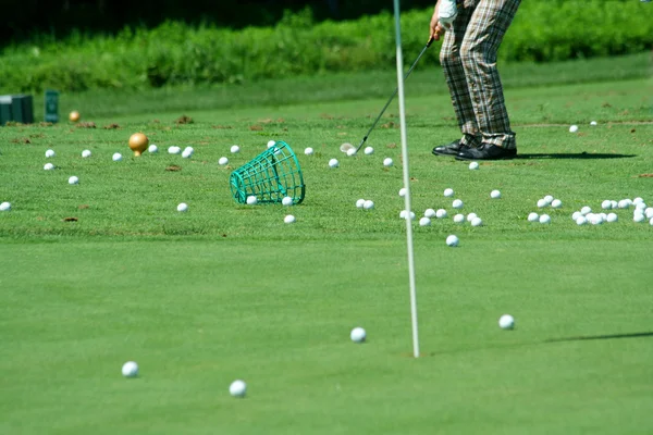 Golfista in pantaloni retrò pratica — Foto Stock