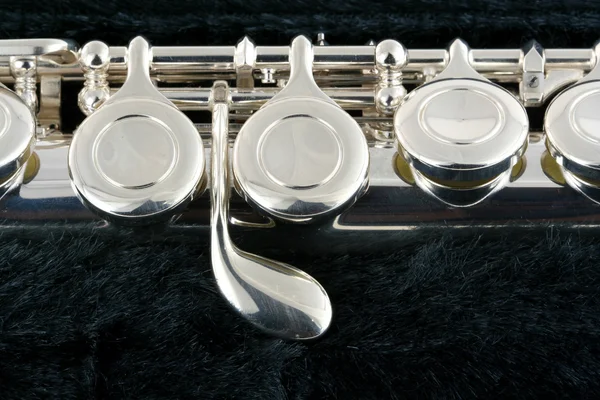 Macro de flauta em um caso — Fotografia de Stock