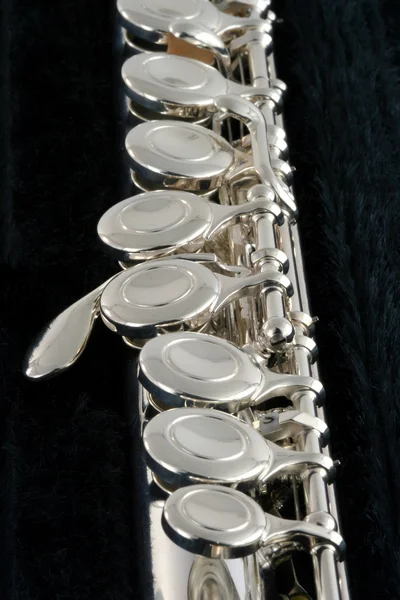 Vista vertical de uma flauta — Fotografia de Stock