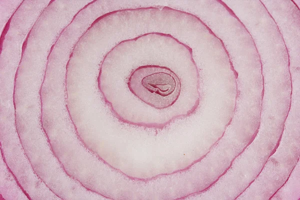 stock image Sliced red onion background