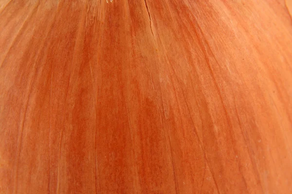 Onion skin macro background — Stock Photo, Image
