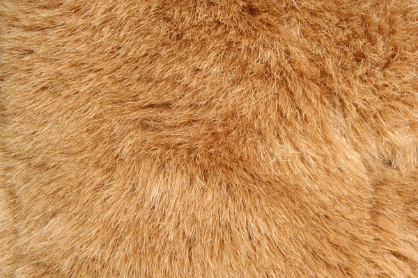 背景テクスチャに茶色の毛皮 — ストック写真